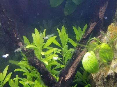 20170424_071546.jpg