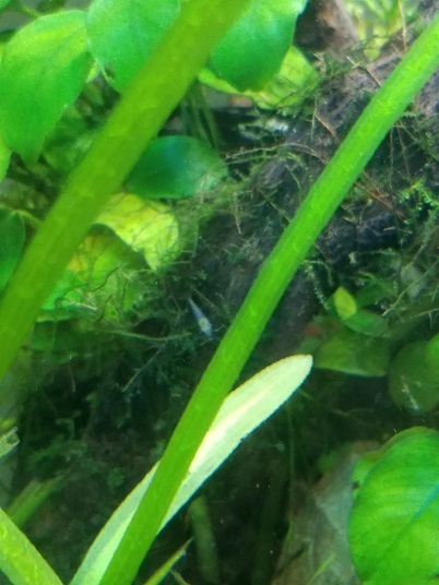 20181110_094627.jpg