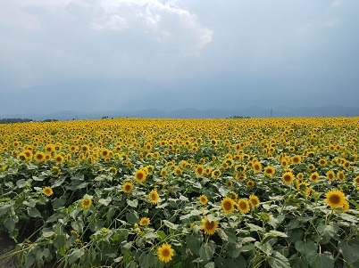 20190818_145421.jpg