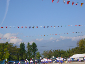 sP1020478.jpg