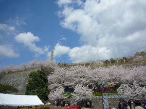 sP1020519.jpg